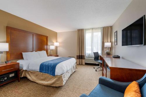 安德森的住宿－Comfort Inn Anderson South，酒店客房配有一张床、一张书桌和一台电视。