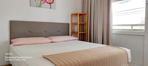 サンレモにあるSanremo DOLCE DORMIREのベッドルーム1室(ピンクの枕が付くベッド1台、窓付)