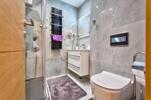 ein Bad mit einem WC und einer Dusche in der Unterkunft Apartman Menta in Zlatibor