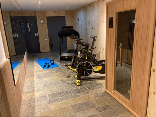 Fitness centrum a/nebo fitness zařízení v ubytování Auberge Sans Souci