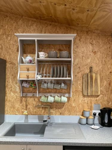 a kitchen with a sink and a shelf with dishes at East Hillerton House in Crediton