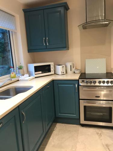 a kitchen with green cabinets and a stove top oven at 6 Eyre Square Lane in Galway
