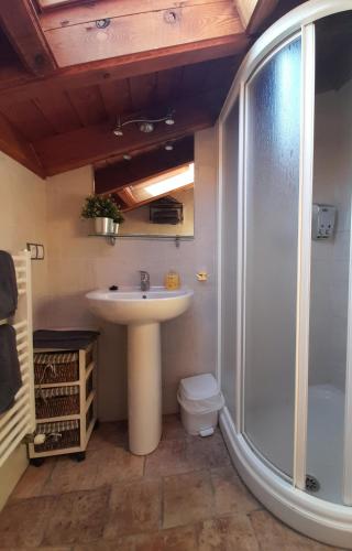 a bathroom with a sink and a shower and a toilet at HOSTAL Villa de Brulles in Villadiego