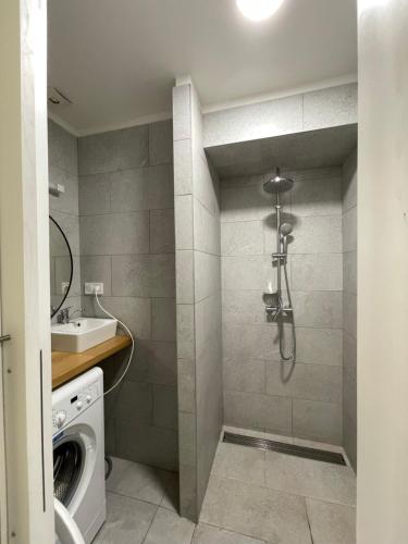 W łazience znajduje się pralka i umywalka. w obiekcie Vintage Apartment Ostrava center city w Ostravie