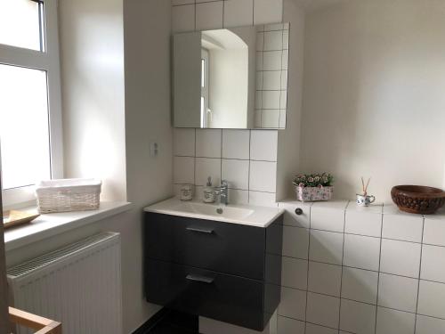 Koupelna v ubytování Apartmán DUO Plešivec