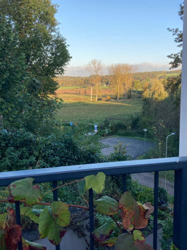 Zahrada ubytování Auberge Sans Souci