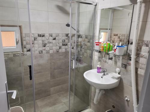 Koupelna v ubytování Apartman Terassa