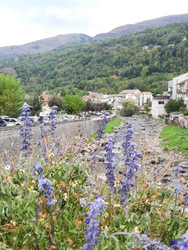 a garden with purple flowers next to a stone wall at Ax, Superbe appartement 2 ch jusqu'à 5 pers in Ax-les-Thermes