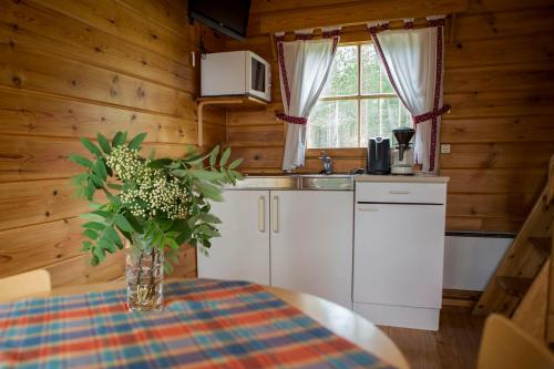 Kuchyň nebo kuchyňský kout v ubytování Lentiira Holiday Village