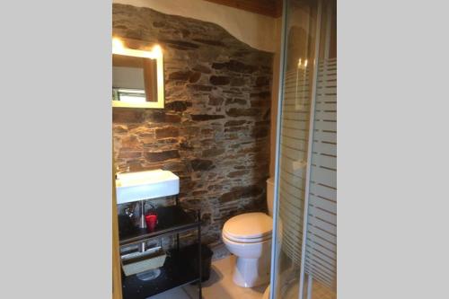 a bathroom with a toilet and a stone wall at Casa da Travessa do Casal in Alqueve