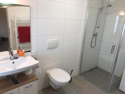 a bathroom with a shower and a toilet and a sink at Wesermarsch, Apartment mit zwei Schlafzimmern, Gästehaus, Stedinger Landhotel in Berne
