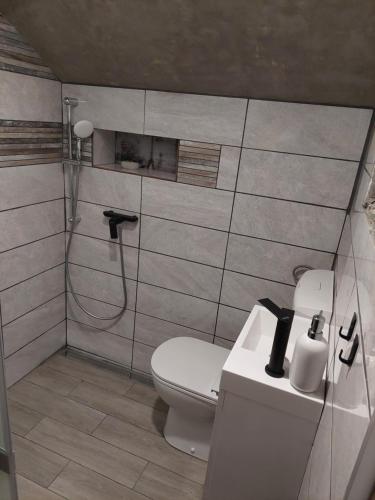 uma casa de banho com um WC e um chuveiro em Apartment Mastnak em Laško