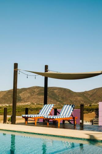 two blue and white chairs next to a swimming pool at Flor de Cera in Valle de Guadalupe