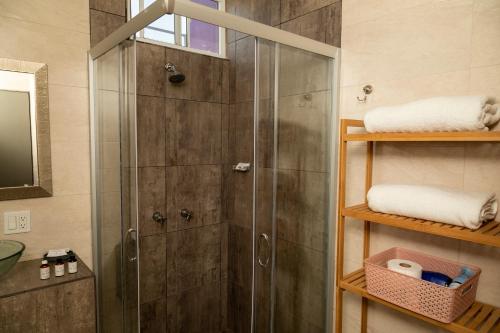 哥德普洛谷的住宿－Flor de Cera，浴室里设有玻璃门淋浴