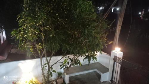 Κήπος έξω από το Leisure Stay