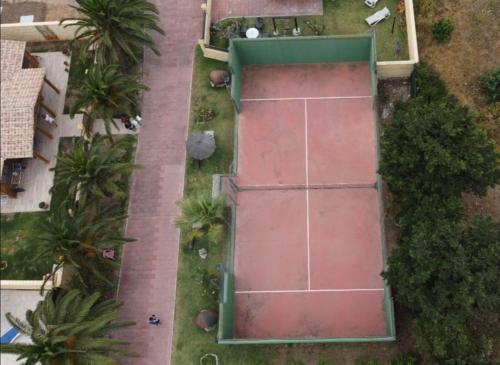 an overhead view of a tennis court with palm trees at Casas Guemon in Zahora