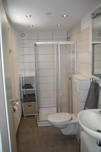 a bathroom with a shower and a toilet and a sink at Schönes Zimmer mit Bad für Reisende in Murg