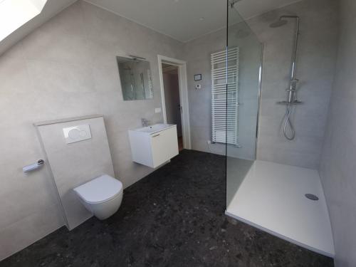 a bathroom with a toilet and a glass shower at Maison Florimond in Nieuwpoort