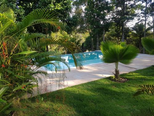 basen z palmą na dziedzińcu w obiekcie Camping Macacos d'ajuda w mieście Porto Seguro