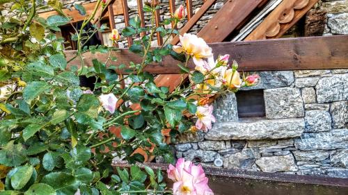 a bush with pink flowers next to a stone wall at Eco Chalet Maison Dominique in Challand Saint Anselme