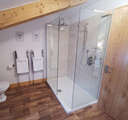 a glass shower in a bathroom with a toilet at The Trotting Mare Holiday Lets - Adults Only in Wrexham