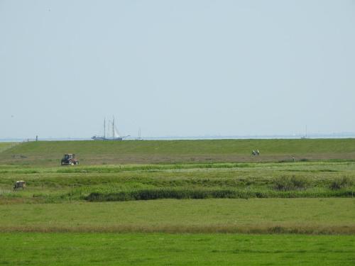 a field with a tractor and horses in the distance at De Stormvogel in Baaiduinen