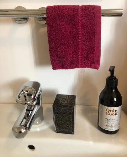 a bathroom sink with a bottle of soap and a towel at Citrus Grove in Nelson