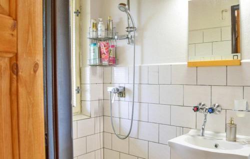 W łazience znajduje się prysznic i umywalka. w obiekcie Františkov 25 w Rokitnicach nad Izerą