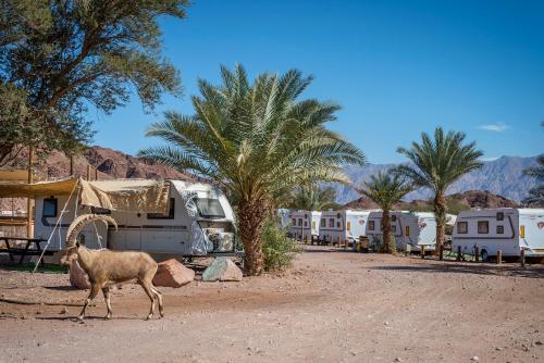 Gallery image of Park Timna in Eilat