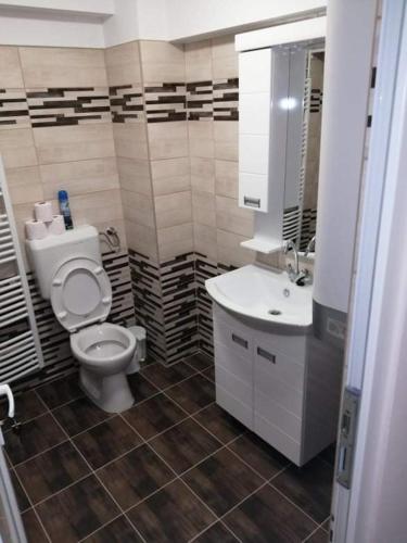 a bathroom with a toilet and a sink at HORVÁTH VENDÉGHÁZ in Nagykanizsa