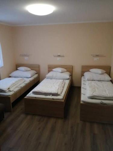 two twin beds in a room with at HORVÁTH VENDÉGHÁZ in Nagykanizsa