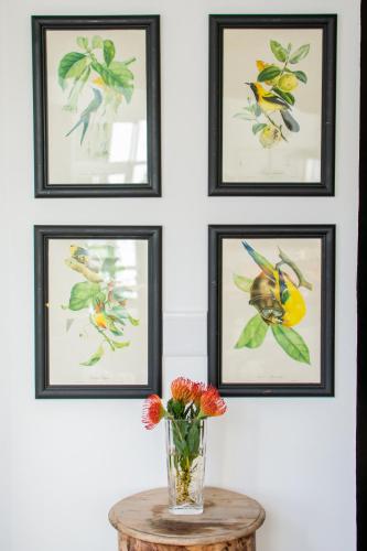 Fotografie z fotogalerie ubytování Vida Nova Retreat v destinaci Hout Bay