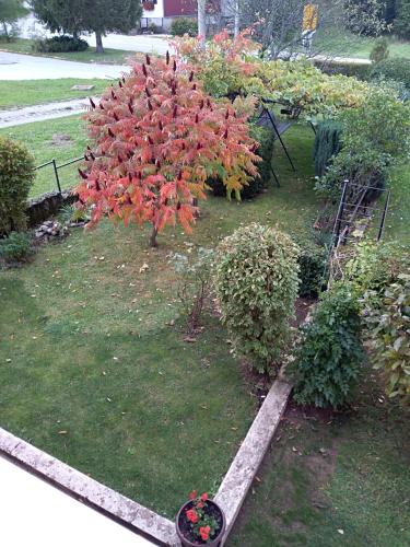 Κήπος έξω από το Apartman Ris Gorski Kotar Crni Lug