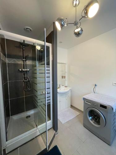 une salle de bain avec douche et machine à laver dans l'établissement CHEZ Xavier, à Les Assions