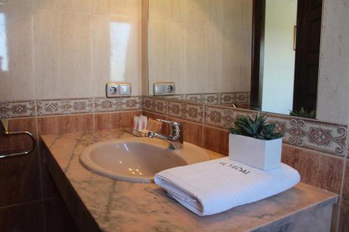 a bathroom sink with a towel and a mirror at Hotel Rural El Vedal in Muelas del Pan
