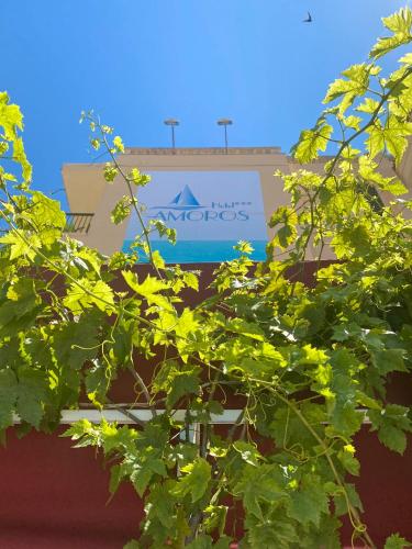 a sign on the side of a building with green leaves at Hotel Amoros in Cala Ratjada