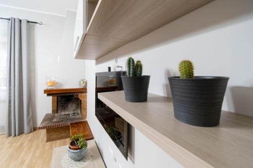 a living room with three potted plants on a shelf at Casa ilaria in Ladispoli