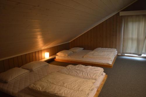 a room with two beds in a room with a window at 15-Nasjonalpark, sykling, fisking, kanopadling, skogs- og fjellturer in Ljørdal