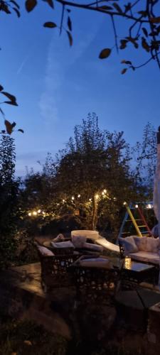 a group of beds in a yard at night at Vila Magnolia in Curtea de Argeş