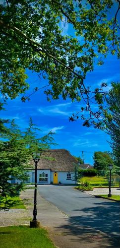 une maison avec un toit de chaume et une rue dans l'établissement Old Killarney, à Killarney
