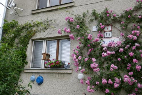 a building with pink flowers on the side of it at Apartment at Sedliacky Dvor - Brezno in Brezno