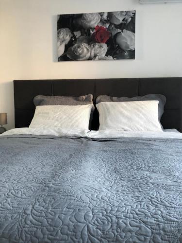 Katil atau katil-katil dalam bilik di Studio apartman Rose