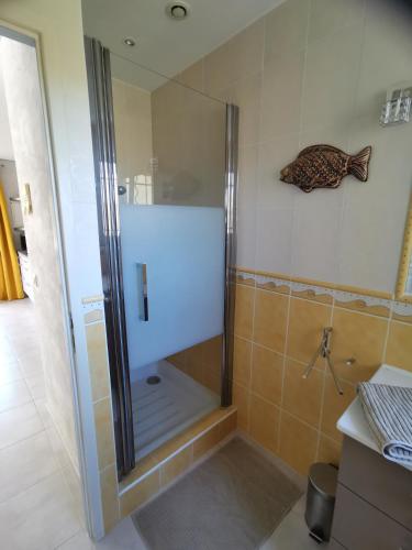 une douche avec une porte vitrée dans une salle de bain dans l'établissement Studio Camille, à Sainte-Vallière