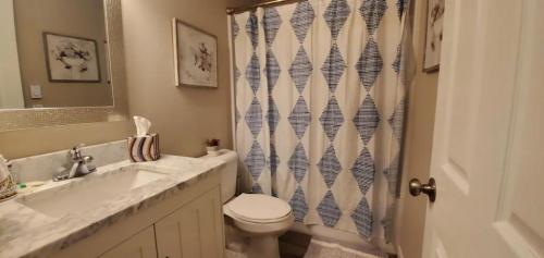 ein Bad mit einem WC und einem Duschvorhang in der Unterkunft A great newly renovated place to stay in Franklin in Franklin