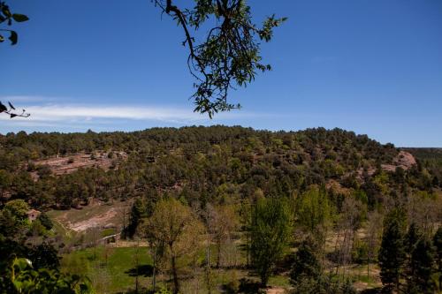 a view from the top of a hill with trees at El Albergue de Sigüenza in Sigüenza