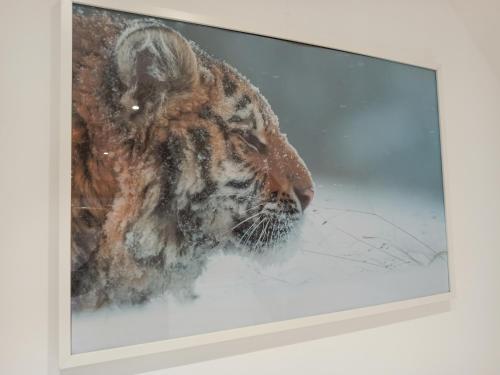 Imagen de la galería de A 4 min du Zoo de Beauval La Maison à Partager Ch4 2ème étage, en Saint-Aignan
