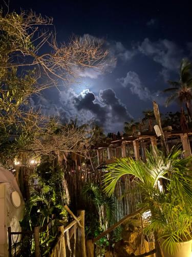 a night view of a garden with palm trees at Cozy room near the beach, party zone in Tulum