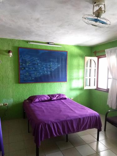 Casa Áabilo'ob – Photos 3