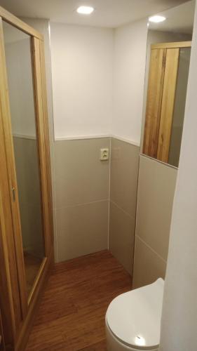 a bathroom with a toilet and a mirror at Bydlení v centru OV blízko Stodolní, bez výtahu in Moravská Ostrava