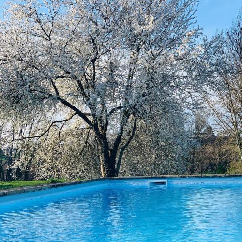 Piscine de l'établissement La Maison D' hote du Fond Du Riu ou située à proximité